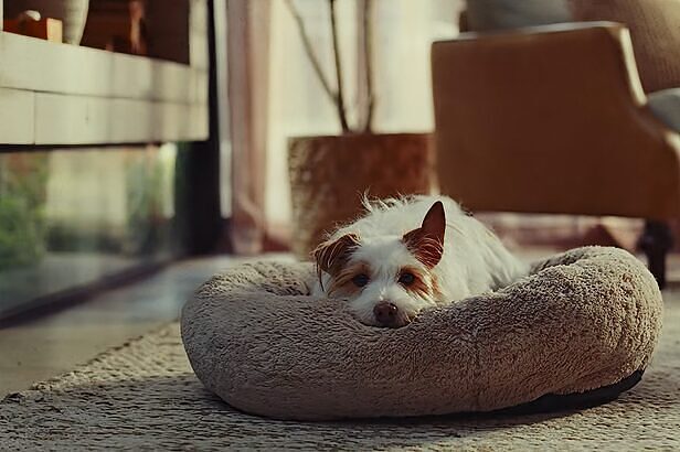 Campanha da Volvo parte da relação entre quem está na estrada e quem espera pela chegada (Crédito: Reprodução/Youtube)