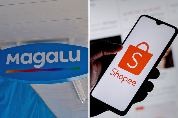 Grupo Magalu passa a vender produtos do Magazine Luiza e do KaBuM! na Shopee (Créditos: Leonidas Santana/Sergei Elagin/Shutterstock)